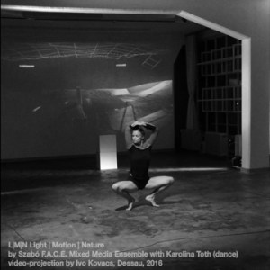 F.A.C.E Ensemble @ Bauhaus Fest 2016