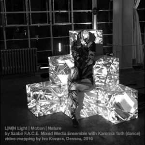 F.A.C.E Ensemble @ Bauhaus Fest 2016